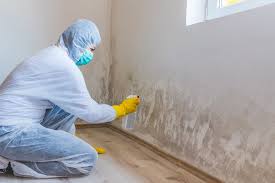 Mold Remediation for Rental Properties in Orange Blossom, CA