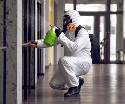 Mold Remediation for Vacation Homes in Orange Blossom, CA