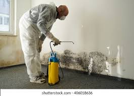 Biohazard Mold Removal in Orange Blossom, CA